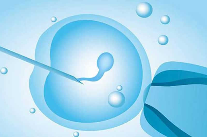 第一代试管婴儿(IVF)流程_成功率_费用_适用人群介绍(图2) 第一代试管婴儿(IVF)流程_成功率_费用_适用人群介绍(图2)
