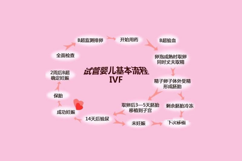 第一代试管婴儿(IVF)流程_成功率_费用_适用人群介绍(图3) 第一代试管婴儿(IVF)流程_成功率_费用_适用人群介绍(图3)