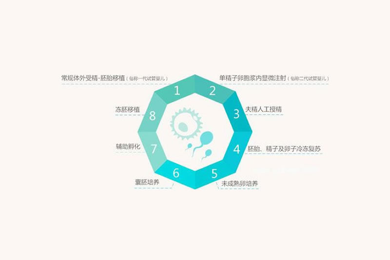 第一代试管婴儿(IVF)流程_成功率_费用_适用人群介绍(图5) 第一代试管婴儿(IVF)流程_成功率_费用_适用人群介绍(图5)