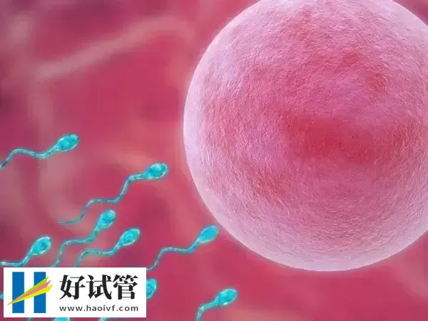 夜针后卵泡提前排掉的症状有哪些(图1) 夜针后卵泡提前排掉的症状有哪些(图1)