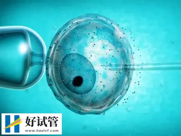 试管婴儿降调失败的症状有哪些(图1) 试管婴儿降调失败的症状有哪些(图1)