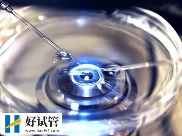 两个女生怎么试管婴儿生小孩?这两个方法都可以(图1) 两个女生怎么试管婴儿生小孩?这两个方法都可以(图1)