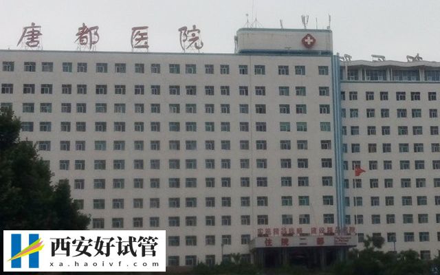 西安试管婴儿技术什么时候纳入医保(图3) 西安试管婴儿技术什么时候纳入医保(图3)