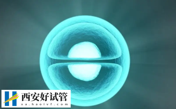 西安哪家医院可以冻卵(图3) 西安哪家医院可以冻卵(图3)