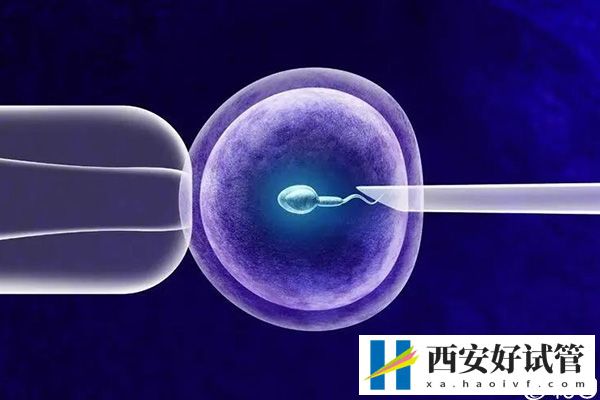 男性透析有生育能力也别乱做试管婴儿,请了解下成功率再说(图4) 男性透析有生育能力也别乱做试管婴儿,请了解下成功率再说(图4)