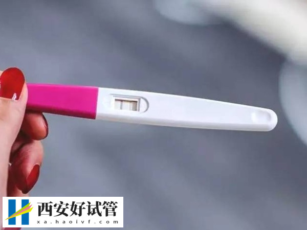 三个卵泡都破了怀孕的几率多大(图1) 三个卵泡都破了怀孕的几率多大(图1)