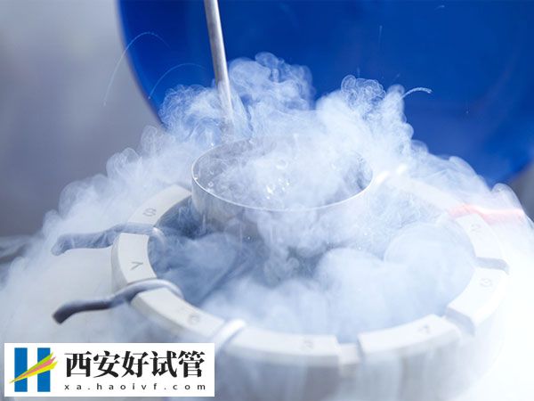 超长方案移植冻胚的成功率多少(图2) 超长方案移植冻胚的成功率多少(图2)