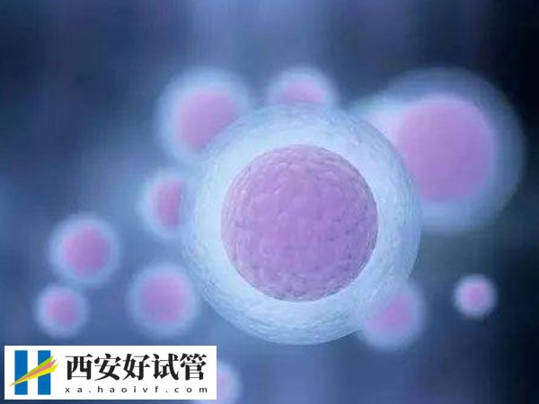 b超能否检查出来空卵泡(图1) b超能否检查出来空卵泡(图1)