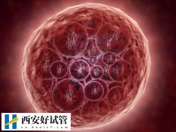 试管婴儿卵泡取出未成熟只有15mm可以配成胚胎吗？(图1)