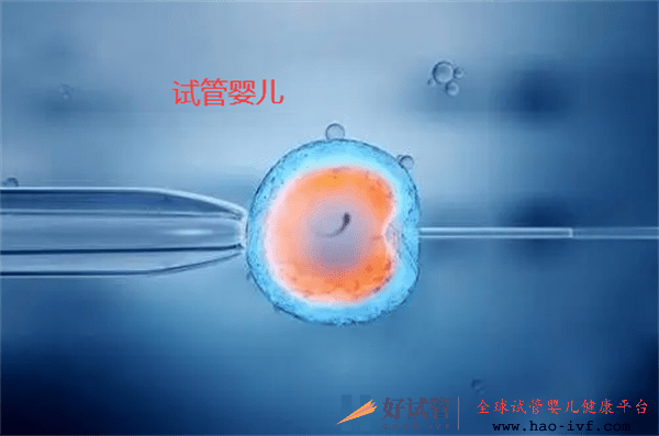 做试管婴儿前需要备孕吗(图1) 做试管婴儿前需要备孕吗(图1)
