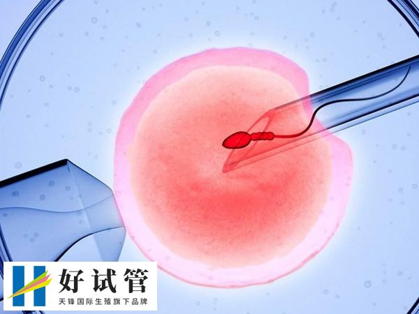 鲜胚移植第九天B超能否看出来(图1) 鲜胚移植第九天B超能否看出来(图1)