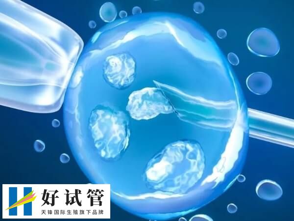 冻胚移植的流程是怎样的(图2) 冻胚移植后就可以进行内膜处理了
