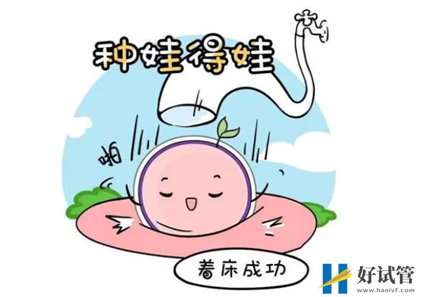 好试管 好试管